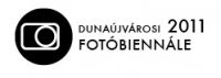 dunabiennale2011_logo